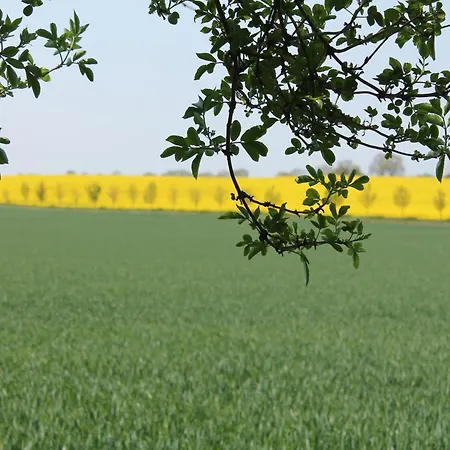 Hébergement de vacances Beachside Boiensdorf